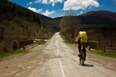 Прикрепленное изображение: IMG_3996.JPG